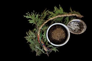 Four Sacred Medicines used in indigenous ceremony.